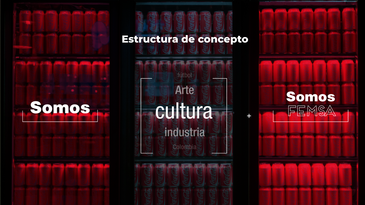 explicacion concepto femsa 