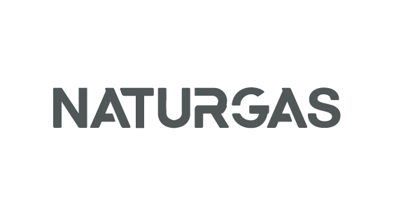 logo naturgas