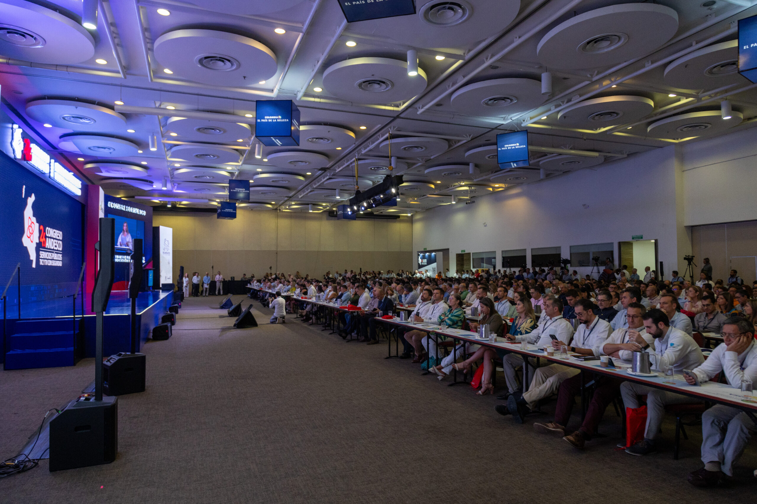 Plenaria Andesco 2024