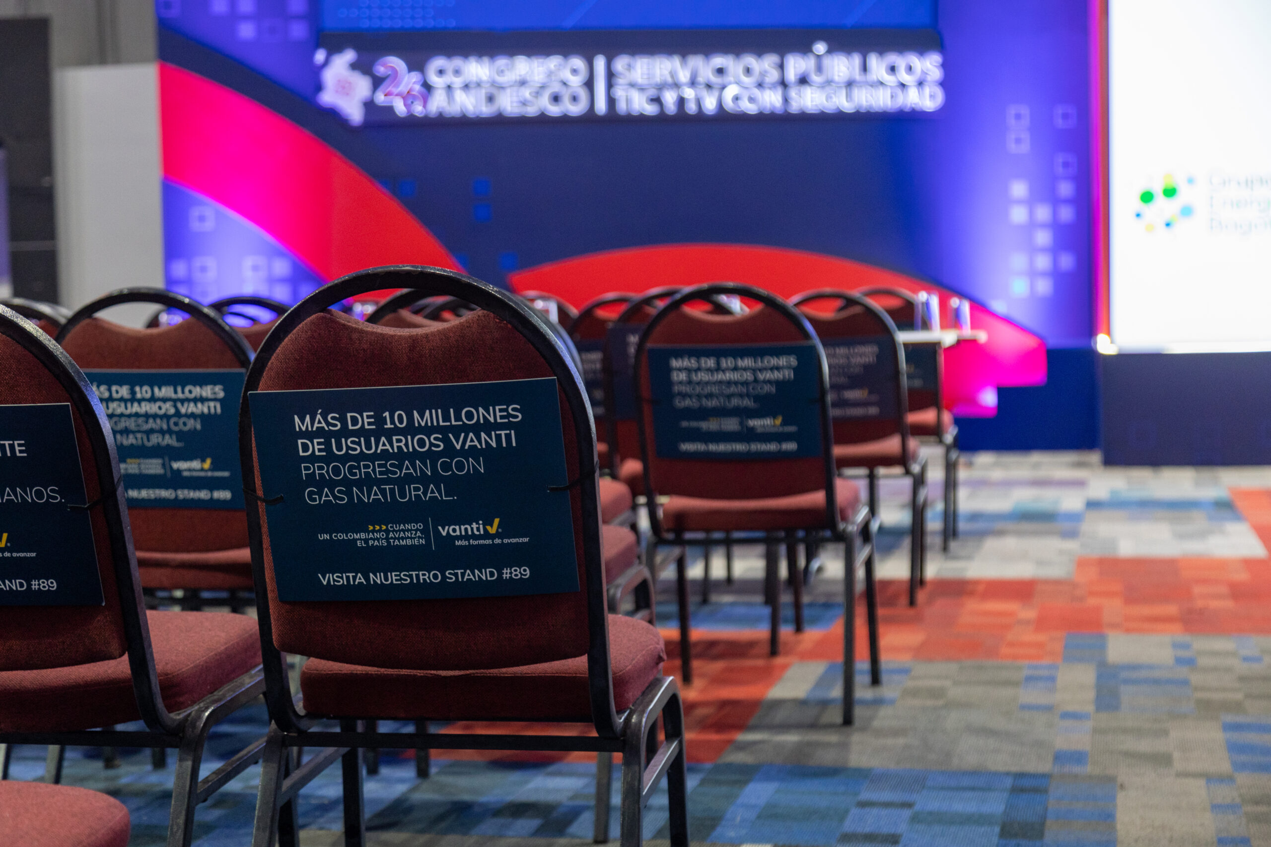 Plenaria organización Andesco 2024